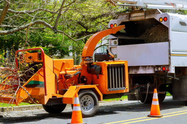 Best Emergency Tree Removal  in Wayne City, IL